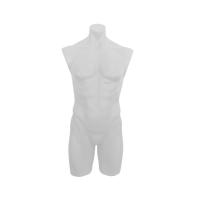 Male Mannequin Torso - White Plastic